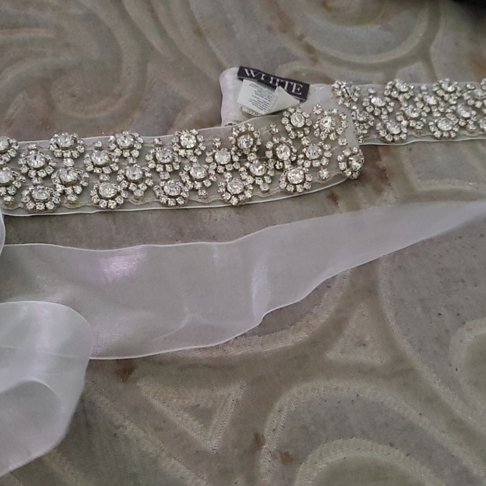 Belt - Picture 1 of 1